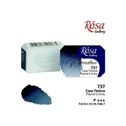 Akvarelové barvy Rosa 2,5ml 737 payne‘s grey